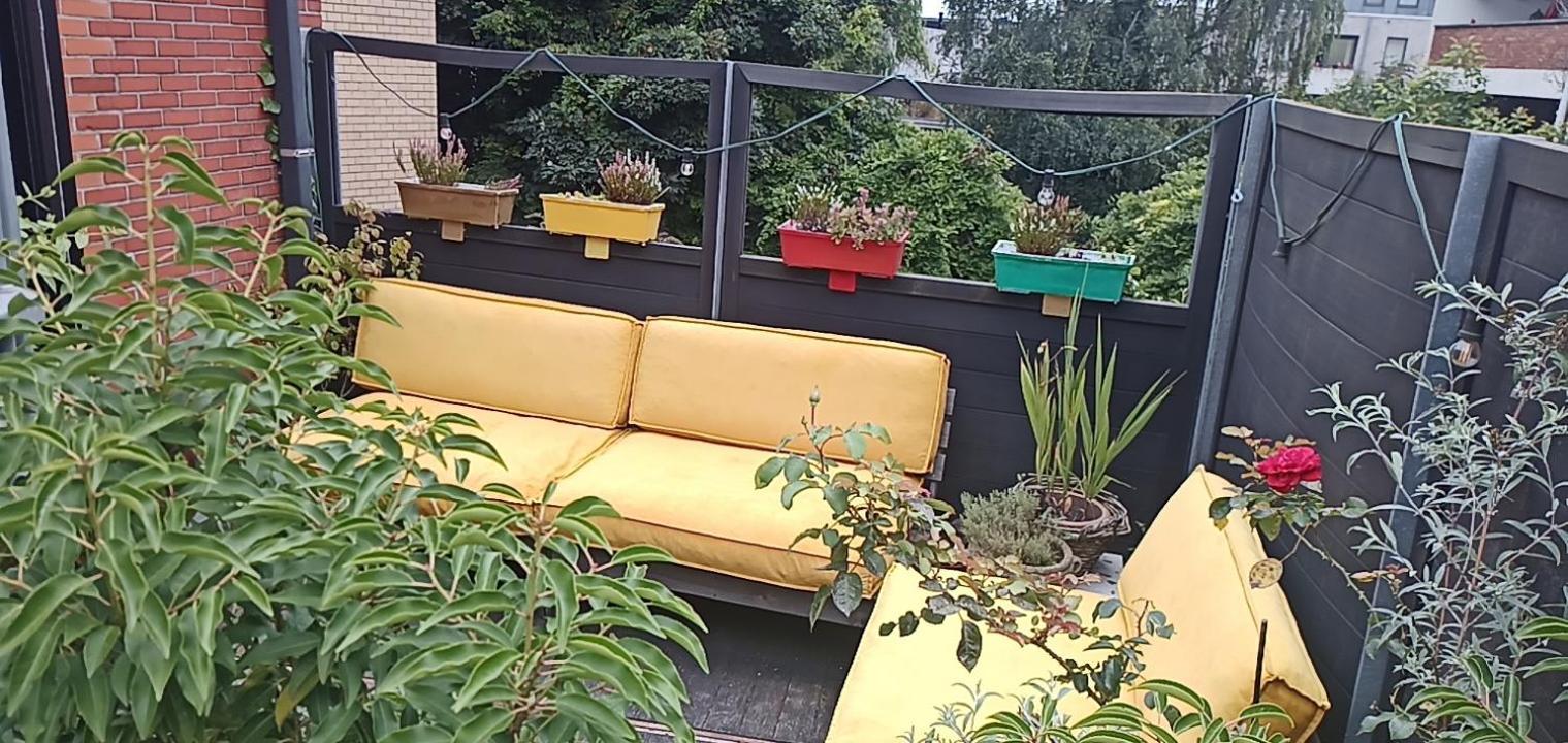 Lodgerivierenhof Antwerpen Kültér fotó